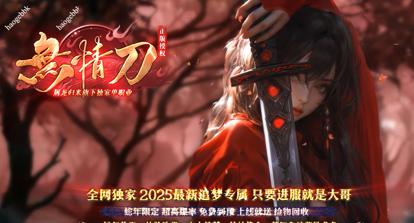 QQ20260128-182041.png